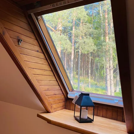 Dom Przy Lesie Małe Swornegacie