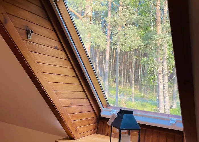 Dom Przy Lesie Male Swornegacie